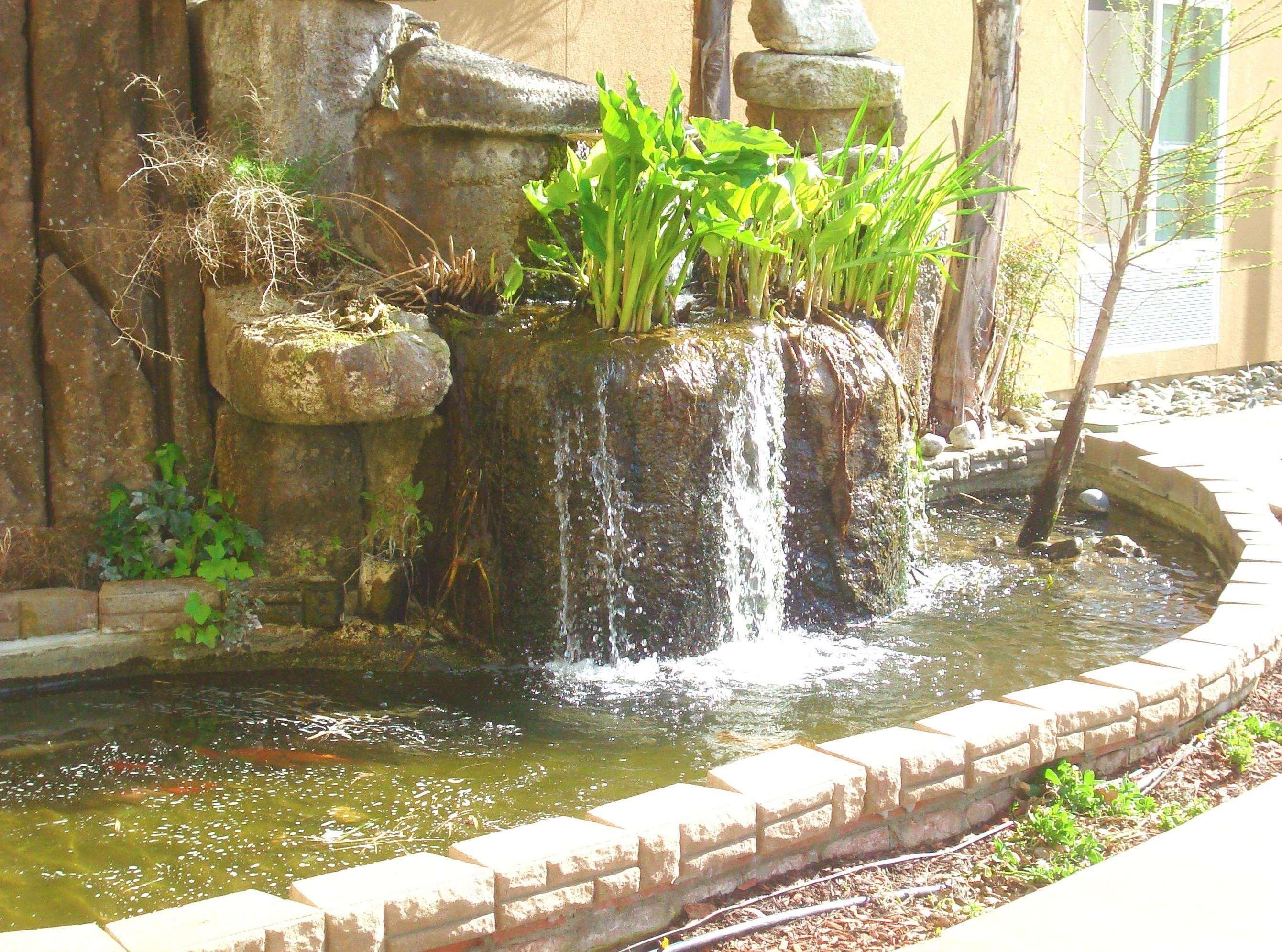 Hampton Inn & Suites Red Bluff Bagian luar foto